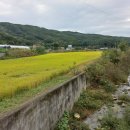 금어2리 이미지