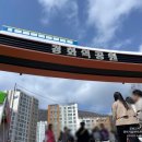 세븐일레븐진해경화위브점 | 경화역 벚꽃 축제 분위기 경화역공원 2026년 진해군항제