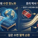 머리박사 | 머리 북쪽으로 두고 자면 안 된다? 호리 야스노리 박사가 밝힌 항노화의 비밀