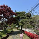 산호천 생태하천 거리(산책길) | 양평 아이랑 가볼만한곳 추천! 양평 민물고기 생태학습관 무료 체험 나들이