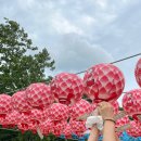 화목경로당 | 저의 주사는 강아지 산책입니다