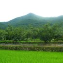 섬진농장 이미지