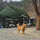 [캠핑] 포천 &#34;포시즌스오토캠핑장&#34; 내돈내산 솔직후기