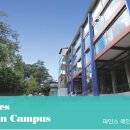 파인스