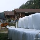 에벤에셀농장(2) 이미지