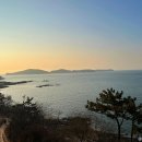카페 바이더오