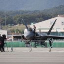 ‘세계 최강’ 美 F-22 랩터 서울 하늘에 떴다…무슨 일? 이미지