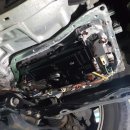 영덕모터스 이미지