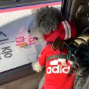 시드니종합동물병원 이미지