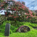 주세붕 초상 이미지