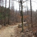 현충탑진입로 이미지