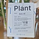 주니파이 | 대전 지족동 유기농 재료로 만든 수제파이를 맛볼 수 있는 카페, 주니파이에 다녀온 내돈내산 솔직후기