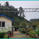 신평태양광발전소 이미지