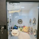 사계절 예쁘개 이미지