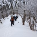 상고대야 상고대야_3월 8일 소백산 인근 눈산행 이미지