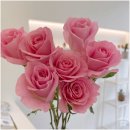 수지꽃집 엠에스에스 플라워스튜디오에서 구입한 엄마 생신 꽃다발 후기