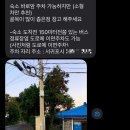 기억의공간 | 여행보다 더 기억에 남았던 제주숙소, 찍는 순간 피드완성되는 곳 레뷰즈맨션 내돈내산 후기