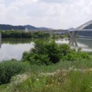 안동오리 이미지