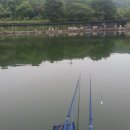 임진리낚시터 이미지