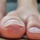 준바이오 이미지