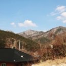 우복동편백펜션