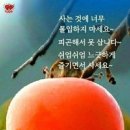 (주) 마음편한집