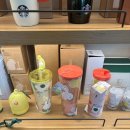 스타벅스 안성석정DT점 | 스타벅스 겨울신상 코코말차맛 칼로리 / MD구경