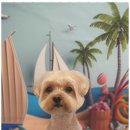 블랑드펫 이미지