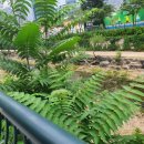 유수정행정사사무소 이미지