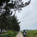 파인빌모텔 | 230527 | 강원도 도보여행 2일차 (해파랑길 48,47코스 + 삼포해변 근처 숙소 추천)