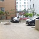 미스박헤어