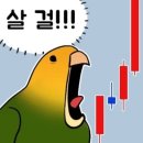 빵굽는곰 | 부평시장역 언제든 빵 구입 가능한 24시 영업하는 빵 맛집, 빵굽는곰 내돈내산 후기!