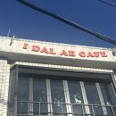 고양시청 | 고양시청 원당 주교동 브런치 카페 이달애카페 산도 후기