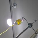 성모척바른의원 이미지