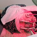 양덕동602 이미지