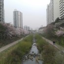 깍쟁이헤어샵 이미지