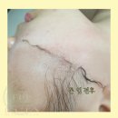 다인플래닝 네이버블로그