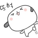 제이라인바디핏바른자세운동 이미지