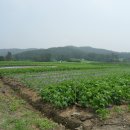 산음마을 이미지