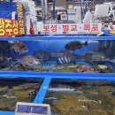 강서수산시장 시세 모듬회 광주상회 회포장 맛집
