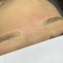 퓨어라인 네이버블로그