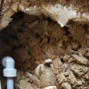 노가니길 이미지