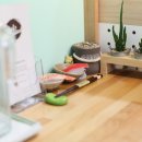 스시마시스 이미지