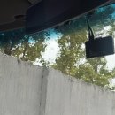 샤워하는운동화 이미지