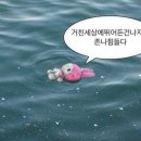 밀선생 이미지