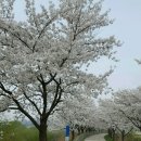 앙덕리 쉼터 이미지