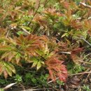 흰구름산촌마을 이미지