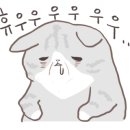 누리다 애견펜션 이미지