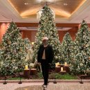 스위트왈왈 | [호텔] 롯데호텔 서울 이그제큐티브 타워 : 주니어 스위트 룸 투숙한 후기(더블 베드/모녀 호캉스👩‍👧)