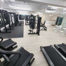 바디스케치 이미지